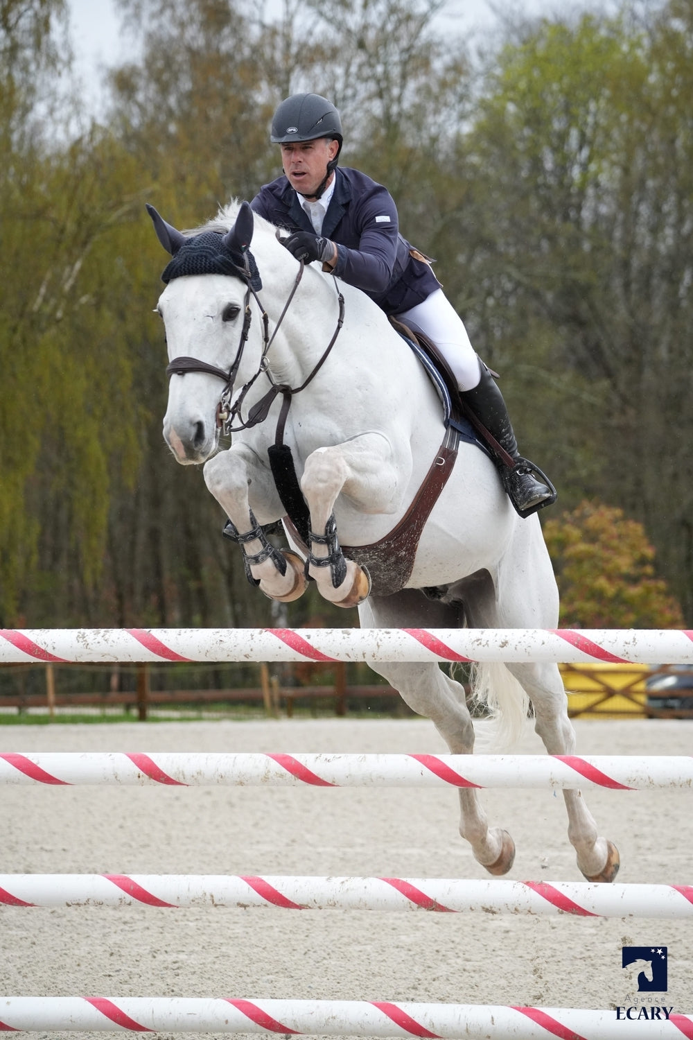 Grey du Houssoit